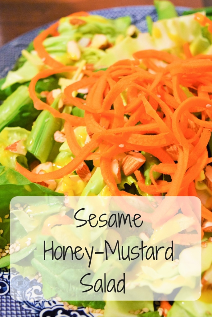 SesameHoney-MustardSalad (1)
